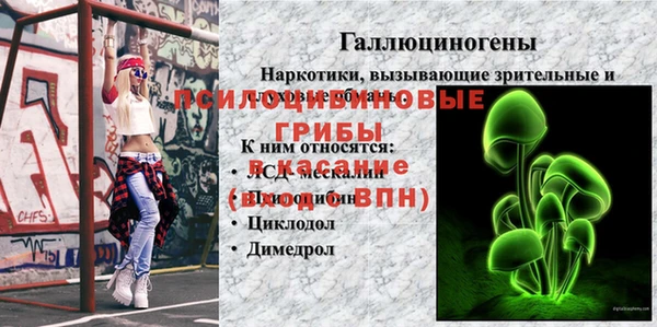 тгк Медногорск