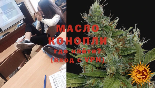 тгк Медногорск