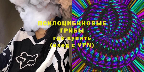 тгк Медногорск