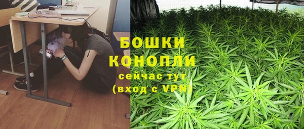 тгк Медногорск
