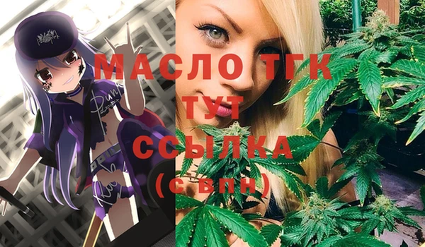 тгк Медногорск