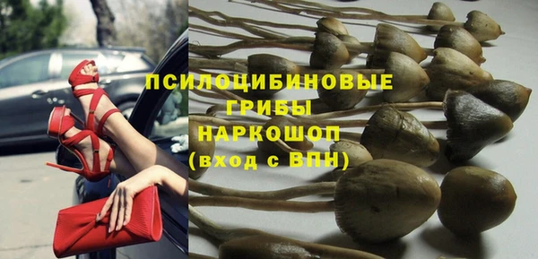 ALPHA PVP Мегион